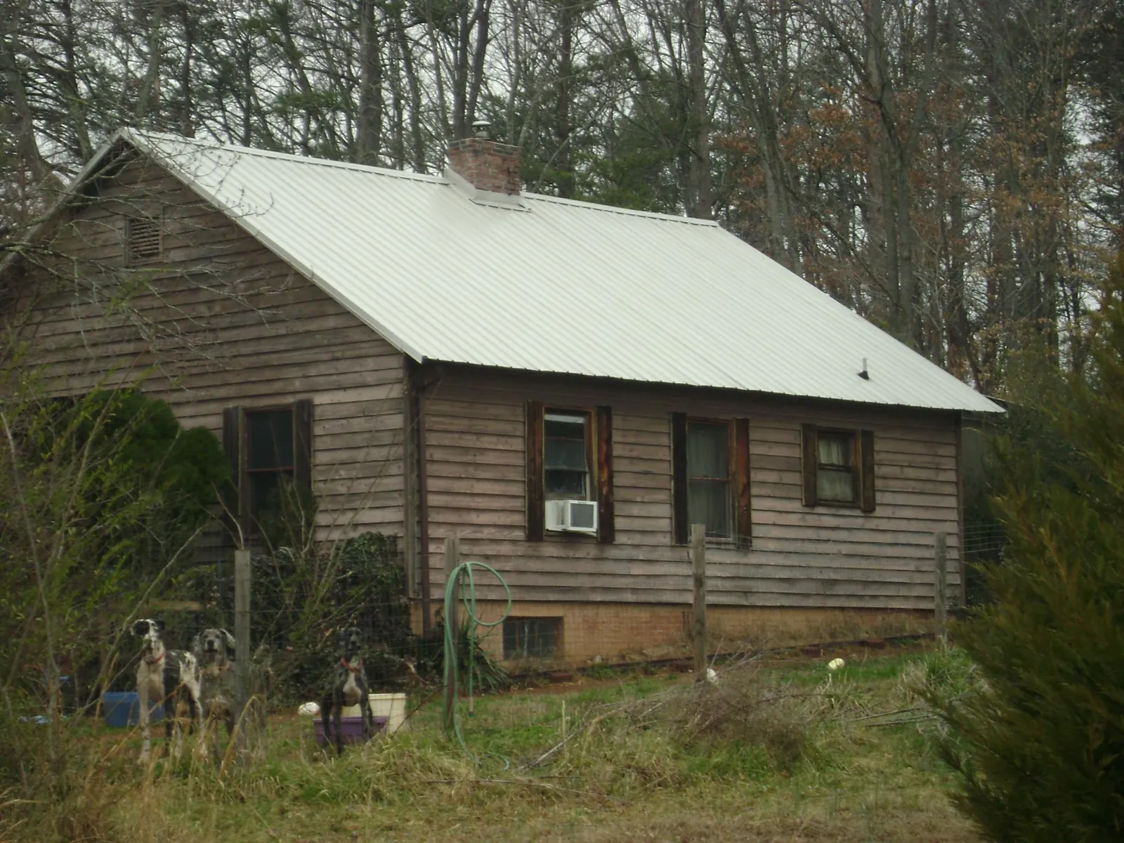 White metal roof on an old wood sided farmhouse, from a Asphalt Shingle Roof Repair job in Goldendale